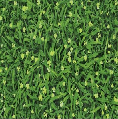 Gạch cỏ Mikado cao cấp - Đá Lát Sân Vườn Hoàng Thạch Văn Phú - Công Ty Cổ Phần Hoàng Thạch Văn Phú